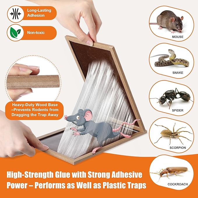 Qualirey 8 Pack Large Mouse Glue Traps Heavy Duty Wood Rat Traps Snake Sticky Board with Enhanced Stickiness for Indoor &amp Outdoor Pre-Scented Peanut Taste Non-Toxic Sturdy Wooden Tray Pet Sa