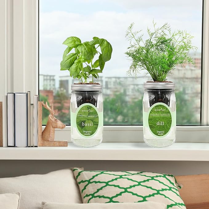 2-Pack Hydroponic Mason Jar Herb Garden Kit Indoor Herb Garden Self-Watering Starter Kit (BasilDill)
