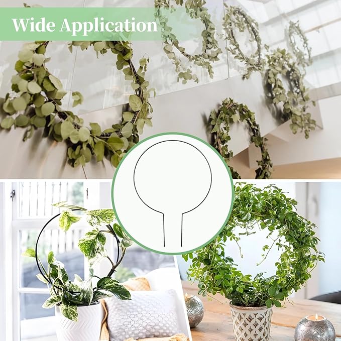 Generic Vines Pothos 12 Pcs Circle Trellis for Climbing Plants 13.4 X 9.4 in Metal Round Trellis Small Indoor Plant Trellis Rustproof Black Metal Support Frame Potted Plants