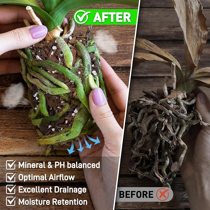 Orchid Bark Potting Mix - 29QT Natural Orchid Potting Mix for Repotting Blended with Small Pine Bark and Perlite to Provide Ideal Ventilation and Good Drainage for Orchids and Other Potted Plants
