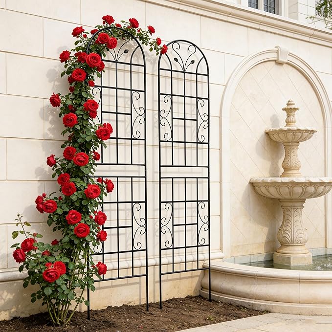 2 Pack Large Garden Trellis Heavy Duty Rustproof Iron Plant Trellis for Potted Plant Support Metal Climbing Rose Trellis Vine Vegetable CucumberBlack-86.7 H x 19.7 W