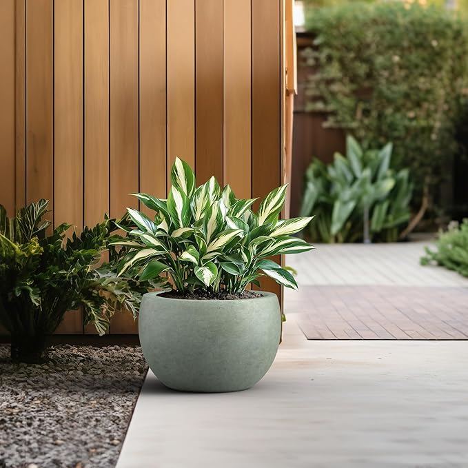 Kante 15.7 Dia Round Concrete Planter Outdoor/Indoor Large Bowl Plant Pots with Drainage Hole and Rubber Plug for Garden Patio Balcony Home Mint Green