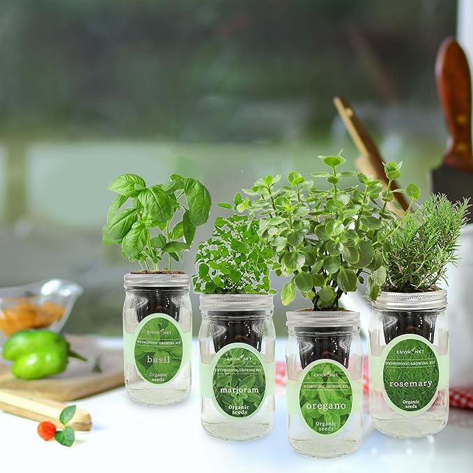 Hydroponic Mason Jar Indoor Garden Organic Seed Starter Kits - Italian Herb Blend Growing Kits Windowsill Herb Garden Gardening Gift (Basil Marjoram Oregano Rosemary)