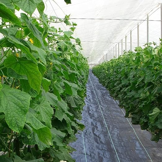 Driveway Fabric Weed Barrier Fabric Weed Control Film Barrier Fabric for Garden Plant Mulch Membrane(1 * 100m)