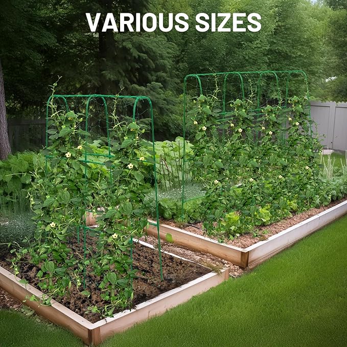 Compact U-Shaped Plant Trellis for Peas Beans &amp Light Climbing Plants - Rust-Resistant Foldable Design Lightweight Steel Ideal for Raised Beds &amp Patio Gardens(31 W x 47 H)