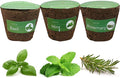 3 Inches Preseeded Herb Seeds Starter Plug for Soil and Hydroponic Applications Seeds Starter Sponge Pod Replacement for Hydroponic Garden kit 3 Pack(Basil Mint Rosemary)