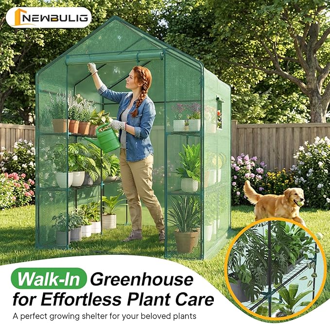 NEWBULIG Walk-in Greenhouse 56.3x56.3x76.7 Outdoor Portable Greenhouse Kit with Thick PE Cover &amp Roll-Up Zipper Door Sturdy Steel Frame with Window for Backyard Patio Garden Green
