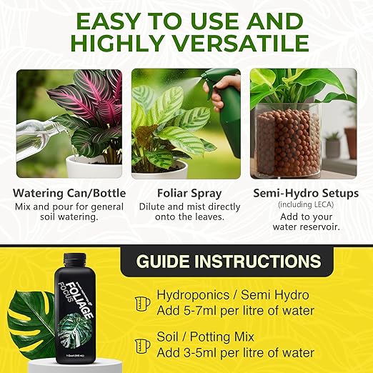 Growth Technology GT Foliage Focus - Liquid Indoor Plant Food for Houseplants Tropical Plants Aroids Ferns and Palms – Concentrated Formula for Vibrant Leaves and Dense Foliage – 1 Quart (946 mL)