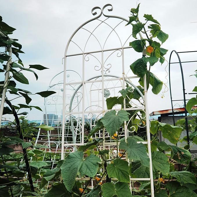 2 Pack Large Garden Trellis 86.7 H x 19.7 W Heavy Duty Rustproof White Iron Plant Trellis for Potted Plant Support Metal Climbing Rose Trellis Vine Vegetable Cucumber