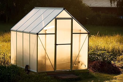 Be Cool Solutions Polycarbonate Panel Twin Layer 4mm Sheet 5 Pack 2' (W) X 6' (L)- Cold-Flexible Clear Strong Impact and Shatterproof - All-Weather Outdoor Garden and Greenhouse Covering