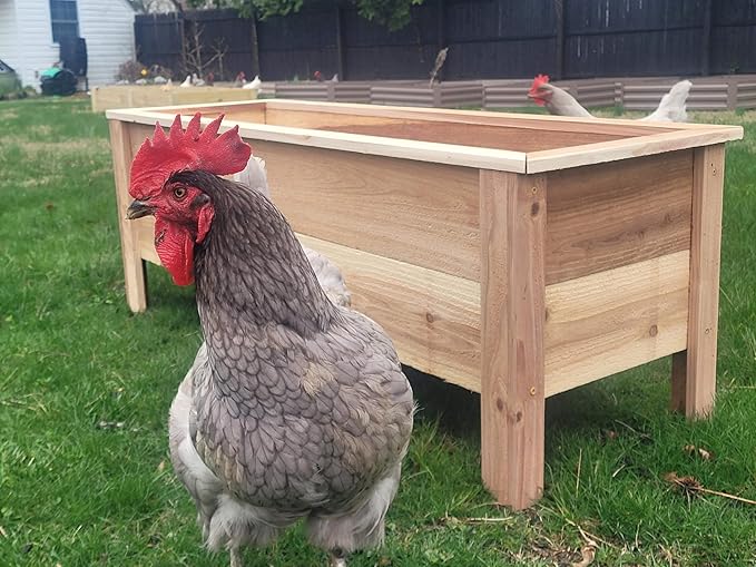 Cedar Raised Garden Bed Planter Box with Legs – Heavy Duty Outdoor Wooden Planter for Vegetables &amp Flowers No Bending Elevated Design Custom Size Handmade in USA (18in x 15.5in x 16in)