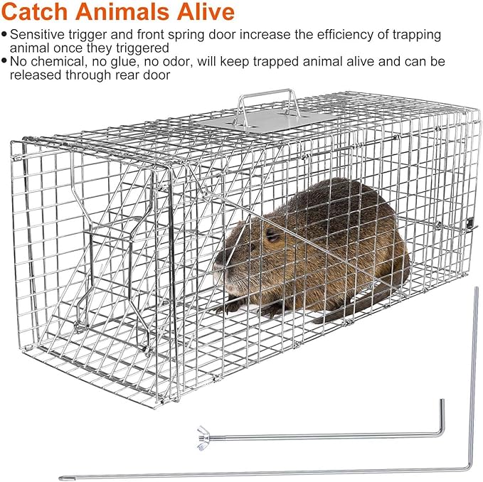 Large Live Animal Cage Trap 30.5x11.8x11Inches Humane Cat Trap for Stray Cats Heavy Duty Foldable Raccoon Traps Humane Catch &amp Release Live Traps for Gopher Opossum Skunk
