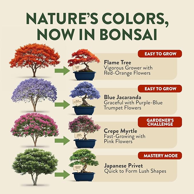 HOME GROWN Bonsai Tree Starter Kit – Unique Christmas Gift for Adults Men Women - Grow 4 Bonsais – DIY Crafts Hobby Gardening Kit for Plant Lovers Mom Dad - White Elephant Gifts for Adults