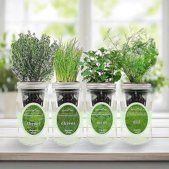 Hydroponic Herb Growing Kit Set Self-Watering Mason Jar Herb Garden Starter Kit Indoor New Christmas Gift for Mom (MintThymeChives&ampDill)