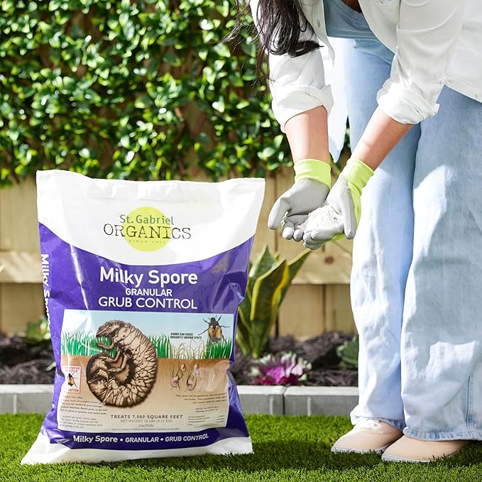 ST. Gabriel Organics - Milky Spore Granular Natural Bacteria Japanese Beetle Grub Killer Lawn and Garden Care Control 20 Pound Pack