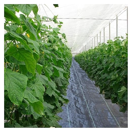 Driveway Fabric Weed Barrier Fabric Weed Control Film Outdoor Membrane Gardening Mat Ground Cover(0.91x12m/3x40ft)