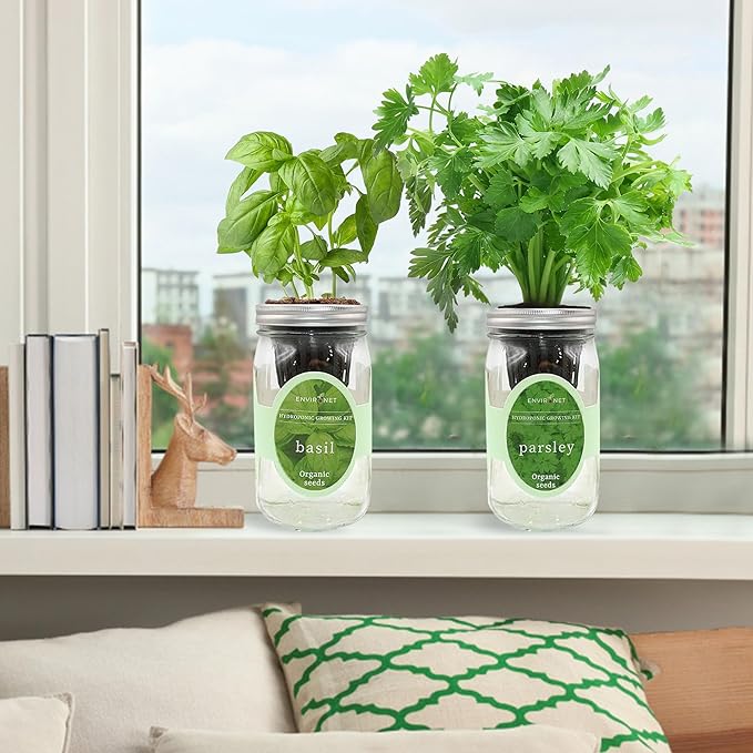 2-Pack Hydroponic Mason Jar Herb Garden Kit Indoor Herb Garden Self-Watering Starter Kit (Basil Parsley)