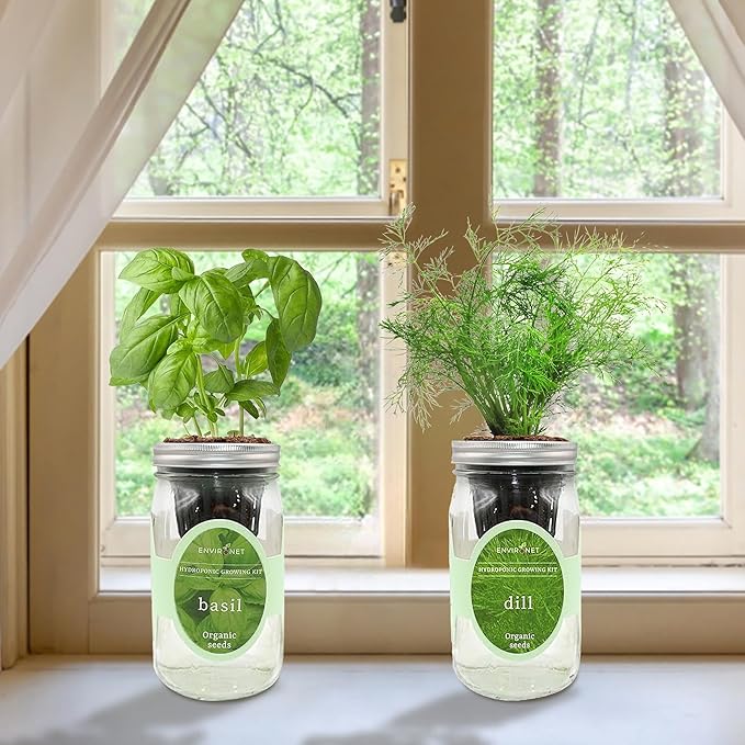 2-Pack Hydroponic Mason Jar Herb Garden Kit Indoor Herb Garden Self-Watering Starter Kit (BasilDill)