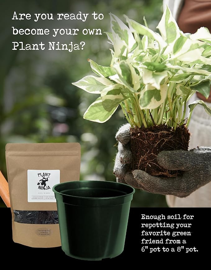 Premium Starter Bundle Includes a 8” Pot 16oz Spray Bottle 1oz Concentrate Soil Blend &amp Funnel Plant and Leaf Shine Spray for Indoor Plants House Plants w/Potting Soil - Large