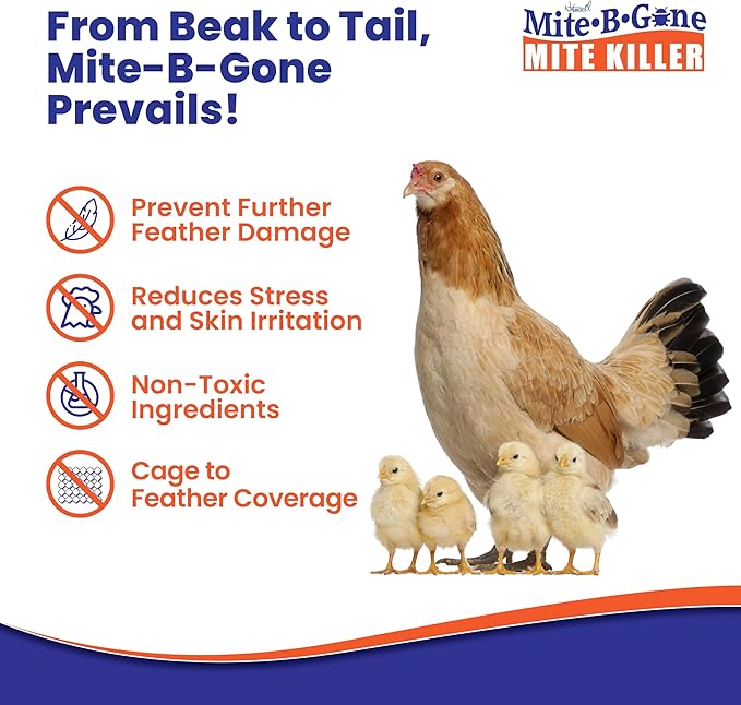 Mite Killer Spray by Mite-B-Gone - 32oz | Plant-Based Treatment for Human Dust Chicken Bird Carpet &amp Rat Mites in Homes Furniture &amp Bedding | Farm Family &amp Pet Safe