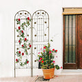 2 Pack Large Garden Trellis Heavy Duty Rustproof Iron Plant Trellis for Potted Plant Support Metal Climbing Rose Trellis Vine Vegetable CucumberBlack-86.7 H x 19.7 W
