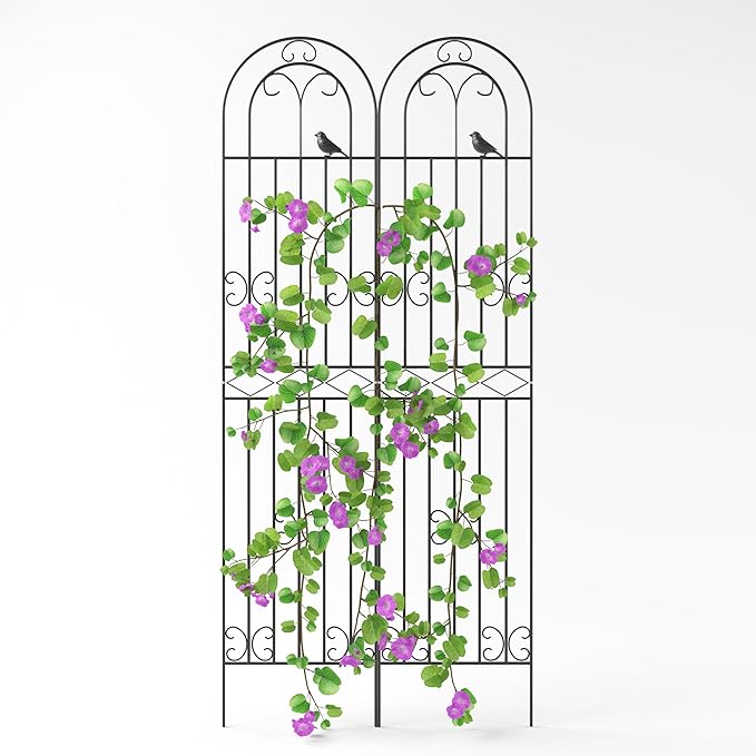 2-Pack 86.6 H x 19.7 W Rustic Metal Arched Garden Trellis – Rustproof Black Climbing Plant Support &amp Decorative Screen for Roses Clematis Cucumbers Patio Lawn &amp Courtyard