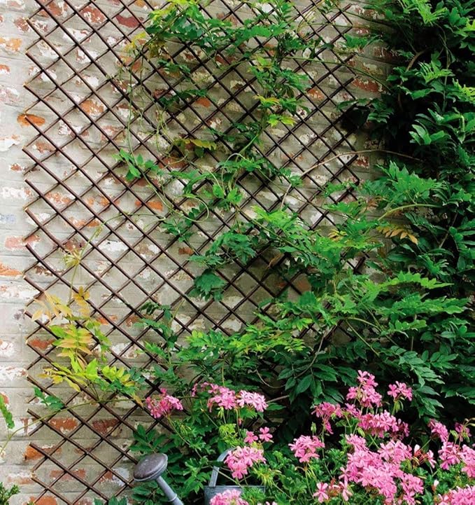 Nature Willow Trellis Expandable Plant Support Plant Climbing Lattices Trellis Willow Expandable Trellis Fence for Climbing Plants Support 36x92 InchDouble Panel (1 Willow Wicker Fence)