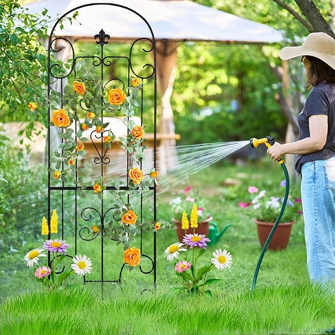70X18 Metal Garden Trellis for Climbing Plants Climbing Plant Support Heavy-Duty Steel Garden Trellis for Indoor &amp Outdoor Vines Plant Rose Vegetable Support Black (2 Pattern-C)