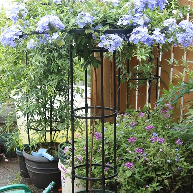 6FT Garden Trellis for Climbing Plants 2 in 1 Plant Cages &amp Supports for Vines Crop Potted/Climbing Plants Indoor Outdoor Plant Stake for Flower Vegetable Tomato Pot Trellis(White)