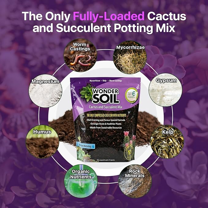 WONDER SOIL | Organic Cactus &amp Succulent Soil Mix (12 Quarts) | Fast Draining Living Coco Coir Loaded w/Nutrients | Ready to Plant Indoor/Outdoor Peat-Free Potting Soil | 3 LB Expands to 12 Quarts