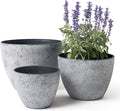 LA JOLIE MUSE 14.2/11.3/8.6 Inch PlantersSet of 3 Indoor/Outdoor Round PlantersGrey Tree PlantersPlant Container with Drain HolesFlower Pots for Patio and Deck