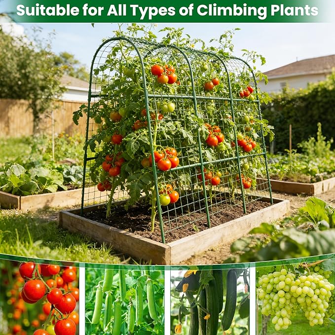 Cucumber Trellis for Raised Bed 32 L x 48 H U-Shape Garden Trellis for Climbing Plants Outdoor Metal Arch Trellis for Vegetables Plant Support for Tomato Pea Zucchini Grape Flowers
