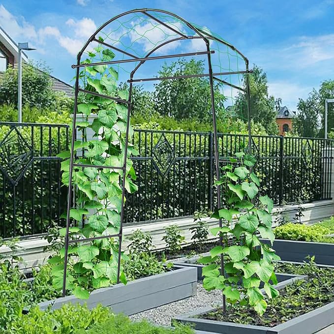Cucumber Trellis 6.7ft Tall Garden Arch Trellis for Climbing Plants Outdoor Arbor Support Vine Vegetable Tomato Bean Pea Grape Squash Pumpkin Cucumber Raised Bed Lightweight Black