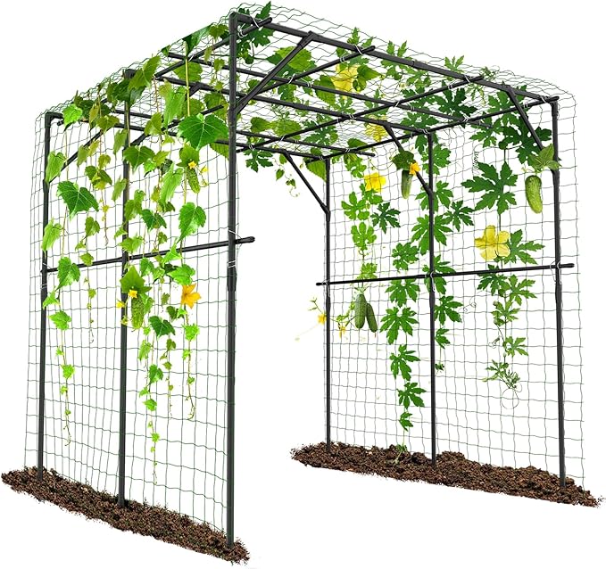 Tall Garden Arch Trellis for Climbing Plants 79in Tall Metal Plant Support Trellis Archway for Climbing Plant Vegetables Cucumber Outdoor Yard Lawn Garden Arch Tunnel Trellis