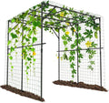 Tall Garden Arch Trellis for Climbing Plants 79in Tall Metal Plant Support Trellis Archway for Climbing Plant Vegetables Cucumber Outdoor Yard Lawn Garden Arch Tunnel Trellis