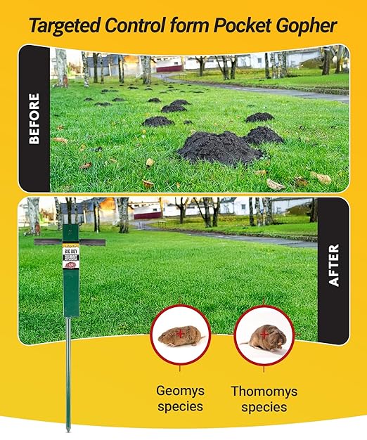 Kaput Big Boy Gopher Probe 37 Inch - Durable Steel Bait Applicator Tool for Risk-Free &amp Easy Gopher Control - Heavy Duty Soil Probe &amp Targeted Rodent Elimination - No Digging Needed