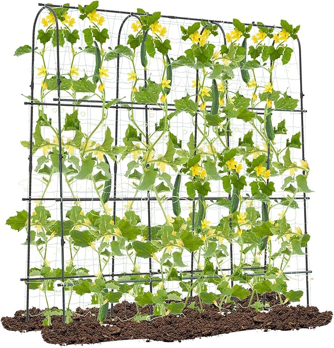 71 x 71 Cucumber Trellis for Raised Bed Garden Arch Trellis Metal Plant Support Frame with Netting Sure-Clips &amp Ground Stakes U-Shaped Garden Trellis for Climbing Plants Outdoor