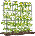 71 x 71 Cucumber Trellis for Raised Bed Garden Arch Trellis Metal Plant Support Frame with Netting Sure-Clips &amp Ground Stakes U-Shaped Garden Trellis for Climbing Plants Outdoor