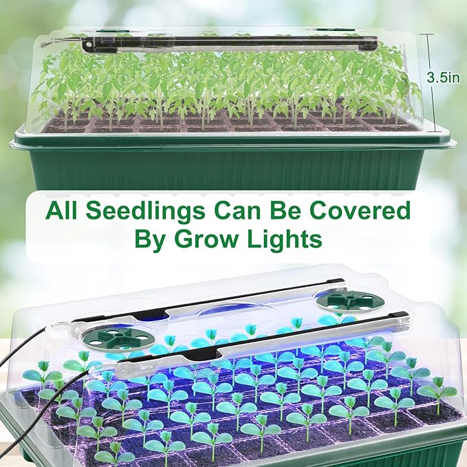 2 Packs Starter Tray with Grow Light 80 Cells Seed Starter Kits with Humidity Dome and Base Plant Germination Seedling Starter Kit with Smart Timer for Indoor Greenhouse Wheatgrass Hydroponic