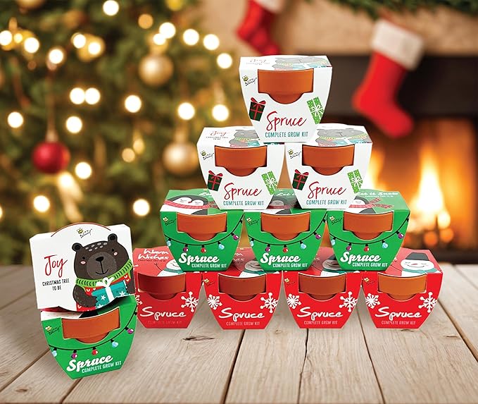 BUZZY Seeds Holiday Mini Spruce Kit 12-Pack – Terracotta Pots with Bear Penguin and Snowman Designs All-in-One Tree Seed Starter Set Stocking Stuffer Party Favor