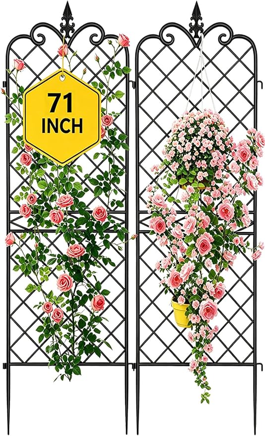 AMAGABELI GARDEN &amp HOME Garden Trellis 2 Pack 71”x20” Heavy Duty Rustproof Wall Trellis for Climbing Plants Outdoor Metal Decoration Large Trellis for Potted Plants Support Trellis Roses Black