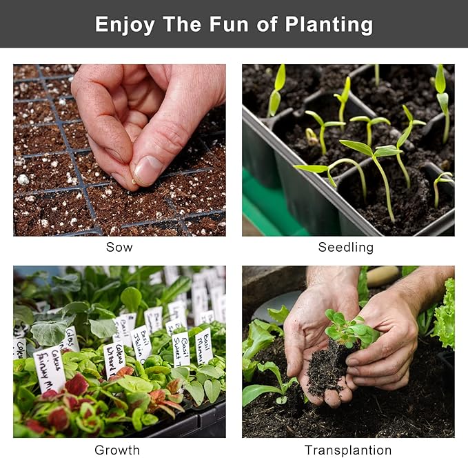Elcoho 6 Pack Seed Starter Tray Kit 40 Cells Seedling Trays with Humidity Dome and Base Mini Propagator Plant Nursery Pots Total 240 Cells for Greenhouse Plants Growing Black