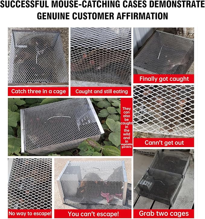 Eaglever Mouse Trap Eaglever Rat Trap Stainless Steel Automatic Mousetrap Automatic Rat Trap Automatic Mouse Trap Easy to Set Mice Catcher for Indoor and Outdoor (2 PCS)