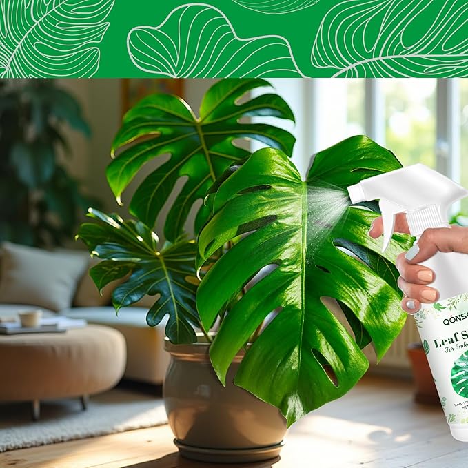 Leaf Shine Spray - Ready-to-Use Gloss &amp Polish for Indoor Plants Instant Glow Leaf Cleaner for Indoor Plants Ideal for Fiddle Leaf Fig Ficus Audrey Monstera and More - 16.91 OZ