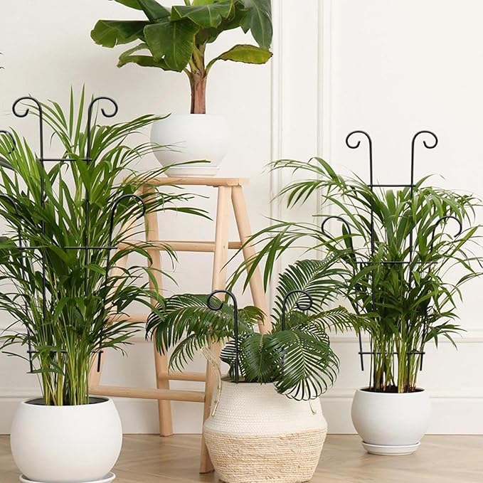 Plant Stand - Rust-Proof Stem Trellis - Garden Trellis for Climbing Plants | for Pothos Ivy Fruit Vegetable Cucumber Bean Flower Pots Planter House