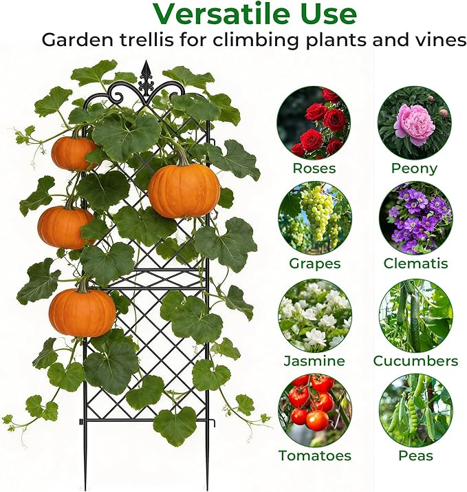 AMAGABELI GARDEN &amp HOME Garden Trellis 2 Pack 71”x20” Heavy Duty Rustproof Wall Trellis for Climbing Plants Outdoor Metal Decoration Large Trellis for Potted Plants Support Trellis Roses Black
