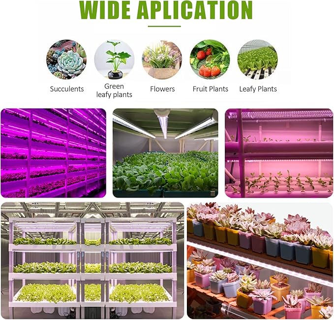 Solar Grow Lights for Outdoor Indoor Plants LED Grow Light Strip Plant Growing Lamps with 1-10 Level Control Switch for Balcony Greenhouse Herbs Vegetables Flowers(10W)