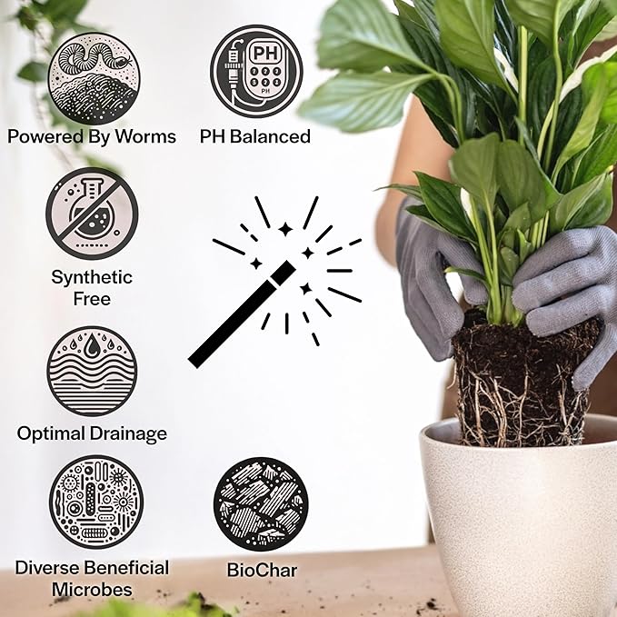 Craft Houseplant Potting Mix Elite House Plant Soil Chunky Well Draining Potting Soil for Indoor Plants Tropical Plants &amp Potted Plants Sustainable &amp Peat Free Less Prone to Gnats 4qt