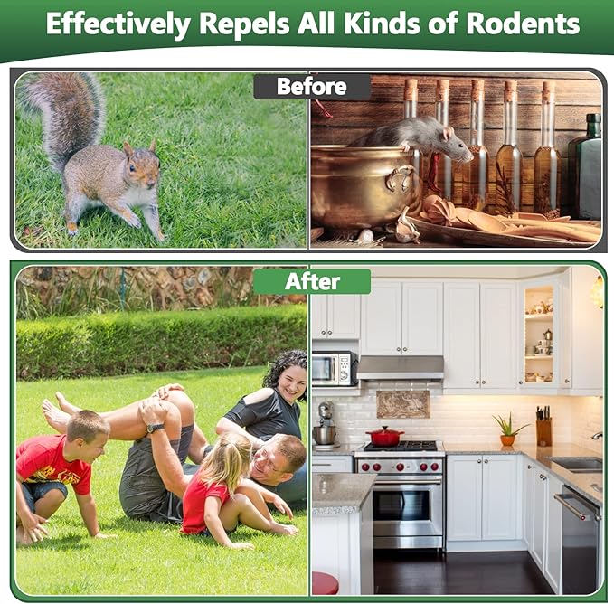 Mouse and Mice Repellent Indoor Outdoor 10 Packs Moth Balls Peppermint Balls for Rodent Long-Lasting Squirrel Repellent Safe for Human &amp Pets Suitable for Home Storage Garage Car RV