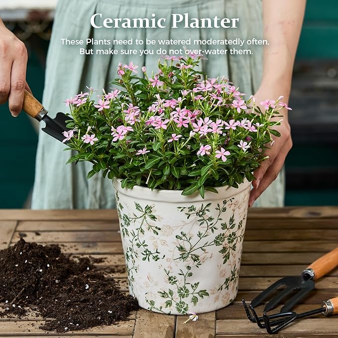 Ceramic Planter Without Drainage Hole 6.7 Inch - Indoor/Outdoor Flower Pot for Orchids Succulents Green Floral Modern Farmhouse Design Plant Pot for HomeOffice &amp Garden Décor Ideal Gift